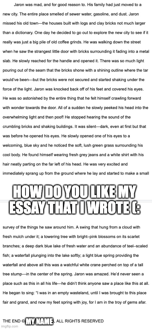 Idk | HOW DO YOU LIKE MY ESSAY THAT I WROTE (:; MY NAME | image tagged in essay,not funny,mature,school,literature,creative | made w/ Imgflip meme maker