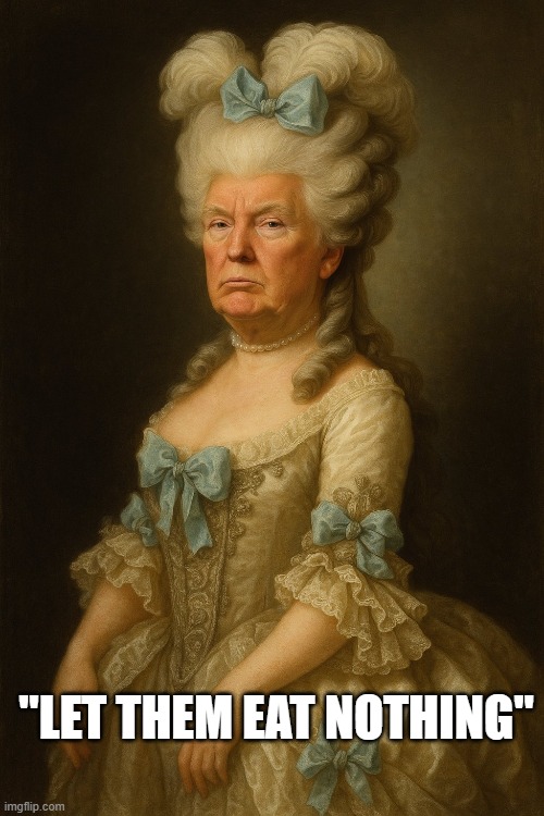 Oh No SNAP! | "LET THEM EAT NOTHING" | image tagged in politics | made w/ Imgflip meme maker