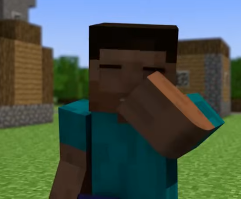 minecraft steve facepalm Blank Meme Template