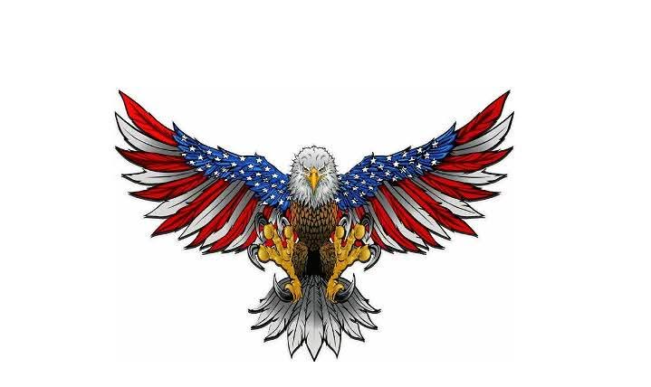 American Eagle Blank Meme Template