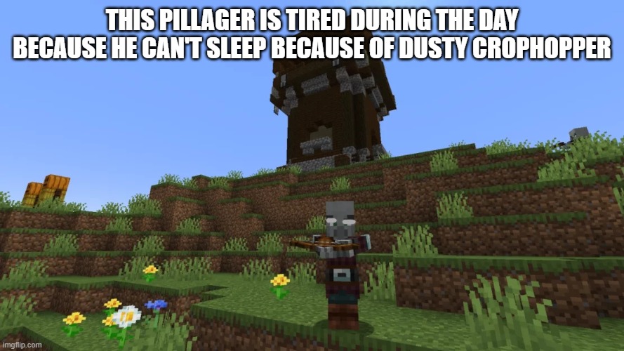 Pillager | THIS PILLAGER IS TIRED DURING THE DAY BECAUSE HE CAN'T SLEEP BECAUSE OF DUSTY CROPHOPPER | image tagged in pillager | made w/ Imgflip meme maker