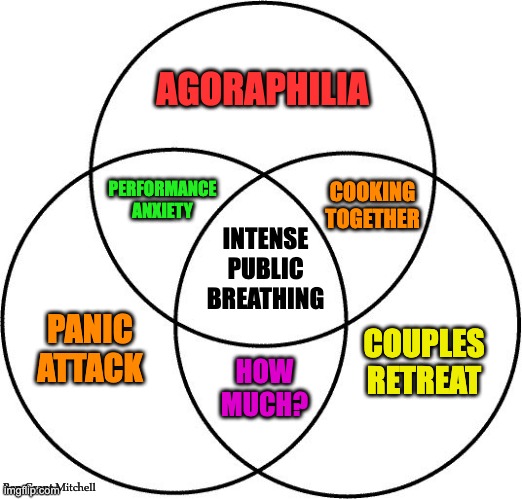 Couples Retreat | AGORAPHILIA; PERFORMANCE ANXIETY; COOKING TOGETHER; INTENSE PUBLIC BREATHING; PANIC ATTACK; COUPLES RETREAT; HOW MUCH? Ben Grant Mitchell | image tagged in venn diagram | made w/ Imgflip meme maker