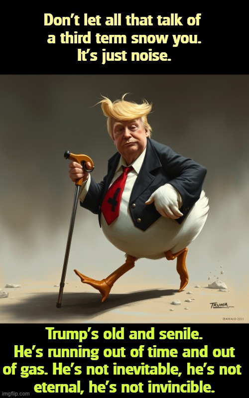 Donald Trump, the Lame Duck | Don't let all that talk of 
a third term snow you.
It's just noise. Trump's old and senile. He's running out of time and out of gas. He's not inevitable, he's not 
eternal, he's not invincible. | image tagged in donald trump the lame duck,trump,lame duck,old,senile,tired | made w/ Imgflip meme maker