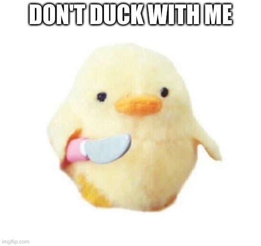 Duck with knife | DON'T DUCK WITH ME | image tagged in duck with knife | made w/ Imgflip meme maker