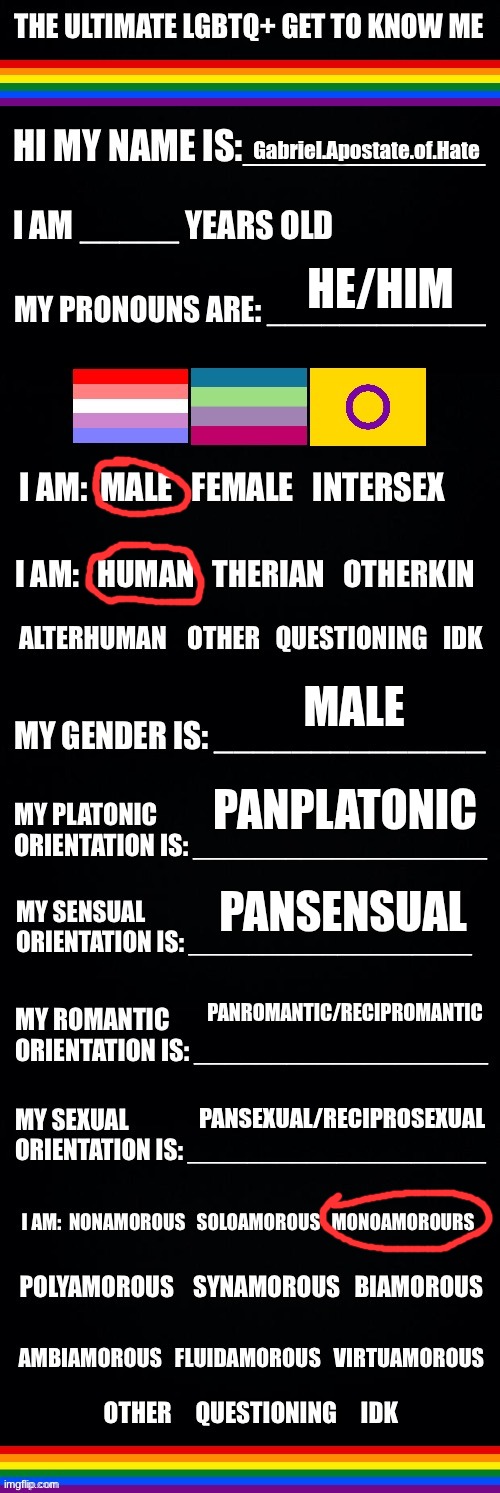 wanted to update this :3 | Gabriel.Apostate.of.Hate; HE/HIM; MALE; PANPLATONIC; PANSENSUAL; PANROMANTIC/RECIPROMANTIC; PANSEXUAL/RECIPROSEXUAL | image tagged in the ultimate lgbtq get to know me | made w/ Imgflip meme maker