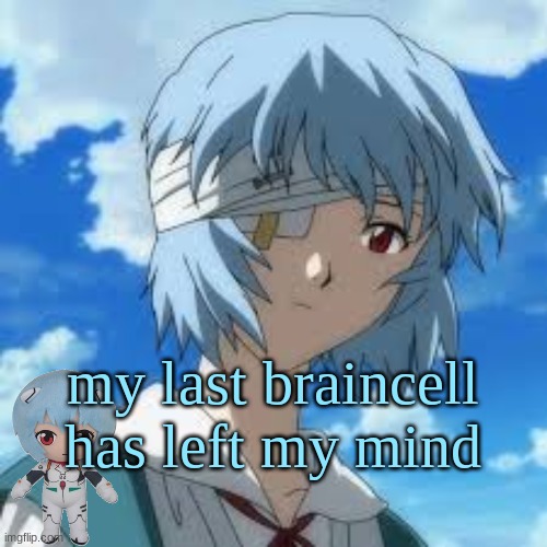 rei is my new obsession | my last braincell has left my mind | image tagged in rei ayanami | made w/ Imgflip meme maker
