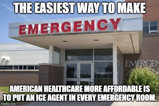 Great Idea!! | THE EASIEST WAY TO MAKE; AMERICAN HEALTHCARE MORE AFFORDABLE IS TO PUT AN ICE AGENT IN EVERY EMERGENCY ROOM. | image tagged in hospital entrance,healthcare,emergency,american,easy | made w/ Imgflip meme maker