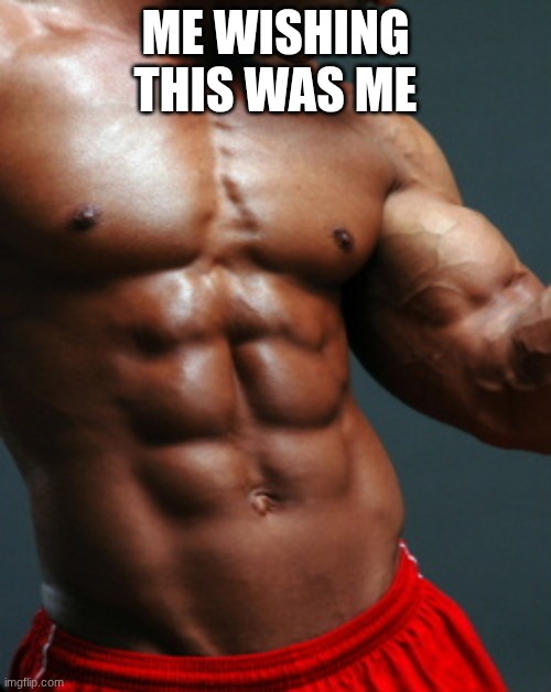 6 Pack | ME WISHING THIS WAS ME | image tagged in 6 pack | made w/ Imgflip meme maker