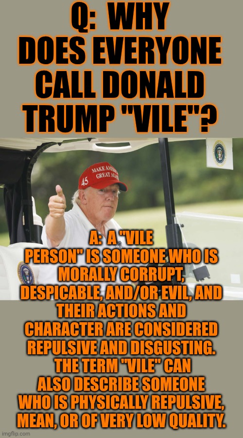 "VILE" CAN ALSO DESCRIBE SOMEONE WHO IS PHYSICALLY REPULSIVE, MEAN, OR OF VERY LOW QUALITY. | Q:  WHY DOES EVERYONE CALL DONALD TRUMP "VILE"? A:  A "VILE PERSON" IS SOMEONE WHO IS MORALLY CORRUPT, DESPICABLE, AND/OR EVIL, AND THEIR ACTIONS AND CHARACTER ARE CONSIDERED REPULSIVE AND DISGUSTING.  THE TERM "VILE" CAN ALSO DESCRIBE SOMEONE WHO IS PHYSICALLY REPULSIVE, MEAN, OR OF VERY LOW QUALITY. | image tagged in vile,deplorable donald,nazis,memes,lock him up,repulsive | made w/ Imgflip meme maker