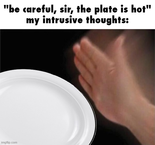 ooOOOhhh I wonder how hot it is- AAAAAA | "be careful, sir, the plate is hot"
my intrusive thoughts: | image tagged in memes,blank nut button,hot,the plate is hot | made w/ Imgflip meme maker