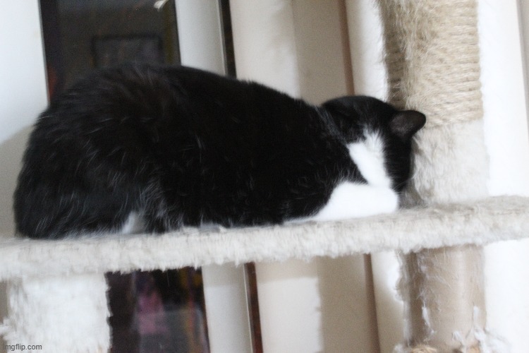 hijito is having his mental breakdown (jk it's just how he sleeps) | made w/ Imgflip meme maker