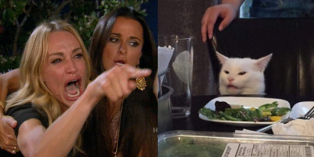 Yelling lady awkward cat Blank Meme Template