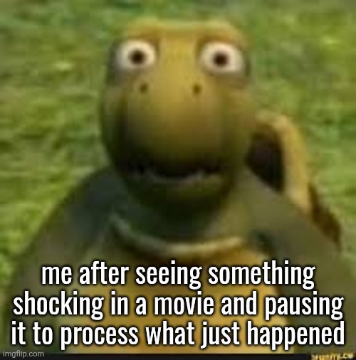 Over the hedge Thousand yard stare | me after seeing something shocking in a movie and pausing it to process what just happened | image tagged in over the hedge thousand yard stare | made w/ Imgflip meme maker