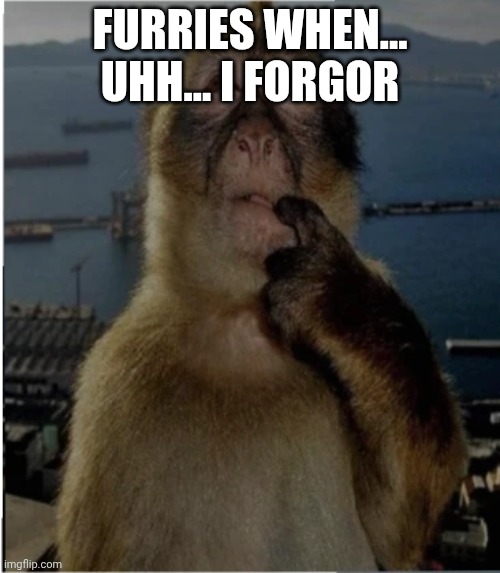 Am I doing good? First anti furry meme, kinda nervous....(this is a joke post) | FURRIES WHEN... UHH... I FORGOR | image tagged in thinking monkey | made w/ Imgflip meme maker