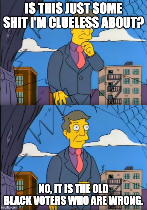 Skinner Out Of Touch | IS THIS JUST SOME SHIT I'M CLUELESS ABOUT? NO, IT IS THE OLD BLACK VOTERS WHO ARE WRONG. | image tagged in skinner out of touch | made w/ Imgflip meme maker
