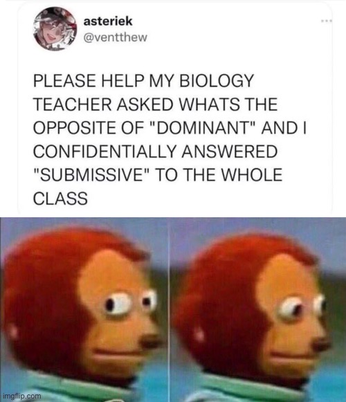 Biology 101 | image tagged in monkey looking away,biology,genetics,dominatrix,submission | made w/ Imgflip meme maker