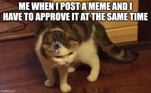 Like didn't I post the meme???? | ME WHEN I POST A MEME AND I HAVE TO APPROVE IT AT THE SAME TIME | image tagged in dumb cat brain loading | made w/ Imgflip meme maker
