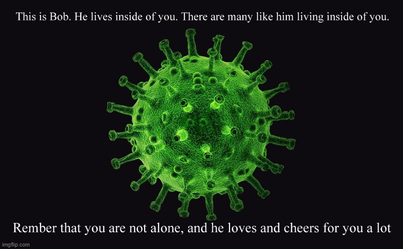 Virus meme | image tagged in virus,meme,funny,memes,funny meme,funny memes | made w/ Imgflip meme maker