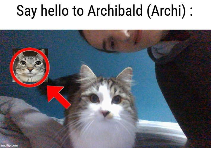 He's such a goober | Say hello to Archibald (Archi) : | made w/ Imgflip meme maker