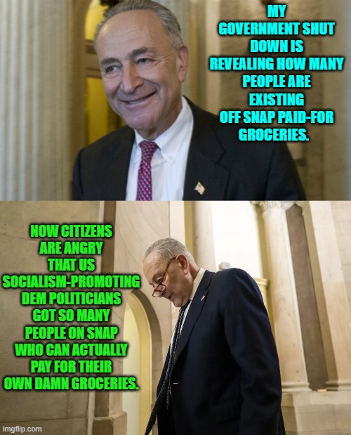 Socialism is great . . . until you run out of other people's money. | MY GOVERNMENT SHUT DOWN IS REVEALING HOW MANY PEOPLE ARE EXISTING OFF SNAP PAID-FOR GROCERIES. NOW CITIZENS ARE ANGRY THAT US SOCIALISM-PROMOTING DEM POLITICIANS GOT SO MANY PEOPLE ON SNAP WHO CAN ACTUALLY PAY FOR THEIR OWN DAMN GROCERIES. | image tagged in yep | made w/ Imgflip meme maker