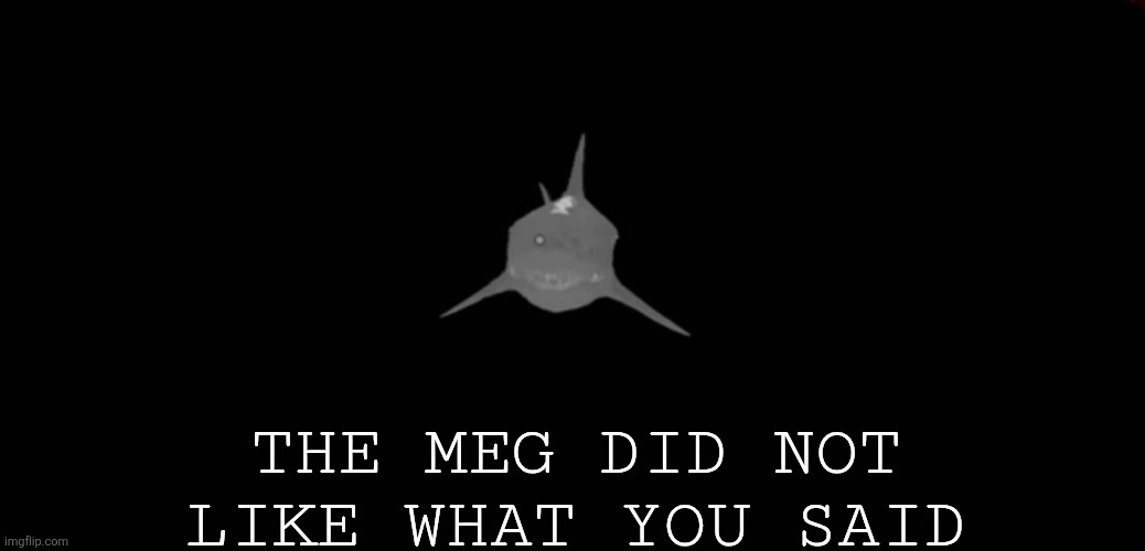 THE MEG DID NOT LIKE WHAT YOU SAID | made w/ Imgflip meme maker