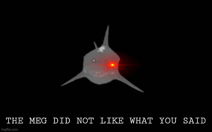 THE MEG DID NOT LIKE WHAT YOU SAID | made w/ Imgflip meme maker