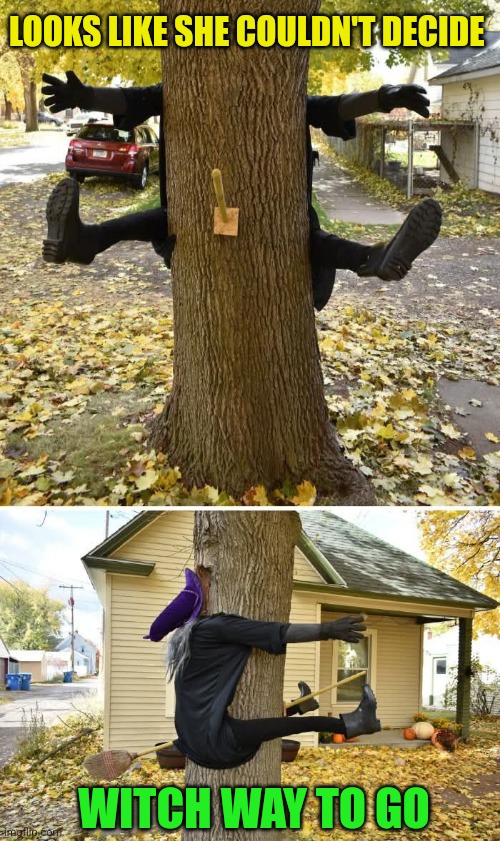 Which way is witch? | LOOKS LIKE SHE COULDN'T DECIDE; WITCH WAY TO GO | image tagged in witches,flying,into,trees,halloween,decorating | made w/ Imgflip meme maker