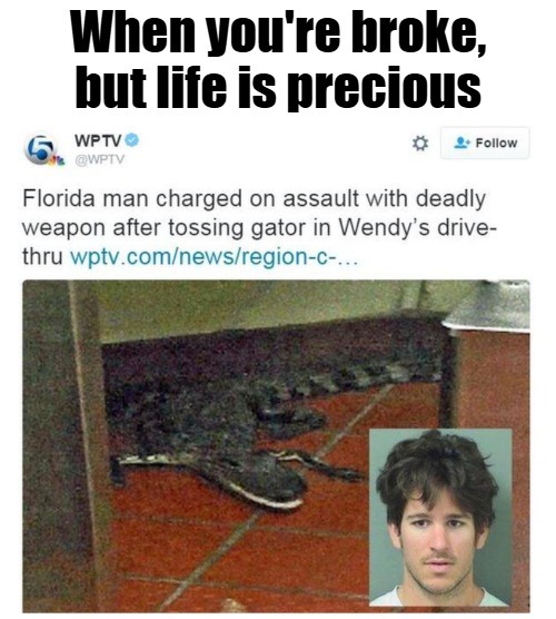 image tagged in florida man,funny | made w/ Imgflip meme maker