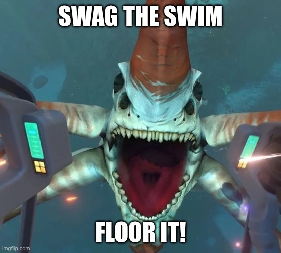 Swag the Swim! | SWAG THE SWIM; FLOOR IT! | image tagged in can t even swim in ohio | made w/ Imgflip meme maker