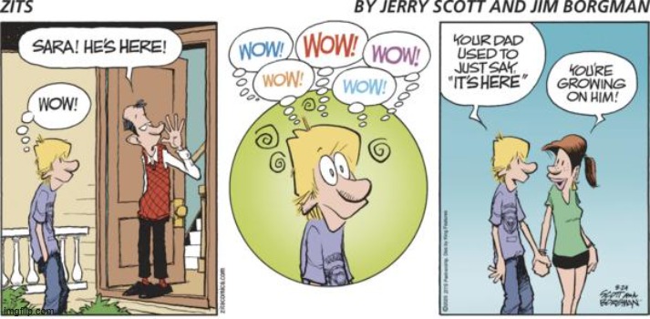 Zits | image tagged in comics | made w/ Imgflip meme maker