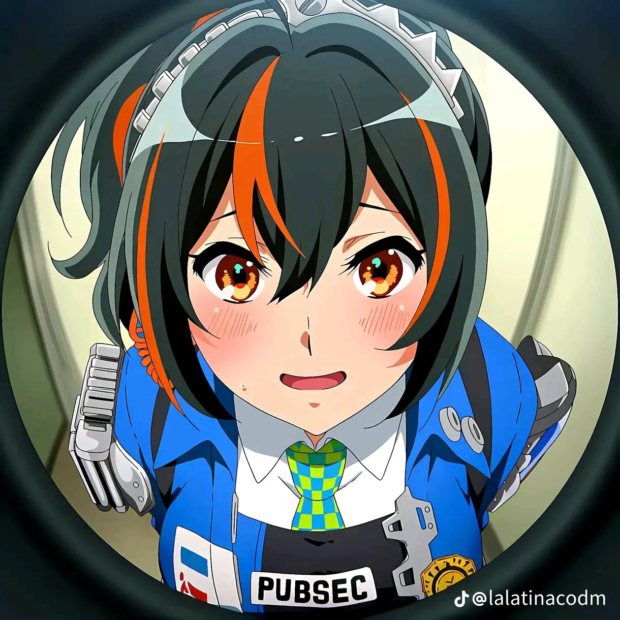 Zhuyuanopenthedoor Blank Meme Template