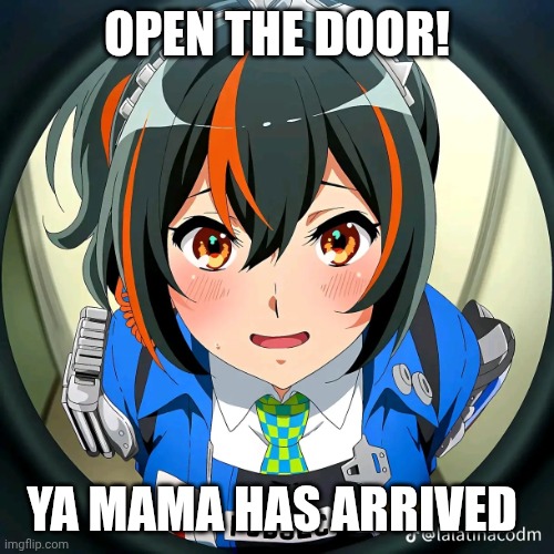 Zhuyuanopenthedoor | OPEN THE DOOR! YA MAMA HAS ARRIVED | image tagged in zhuyuanopenthedoor | made w/ Imgflip meme maker