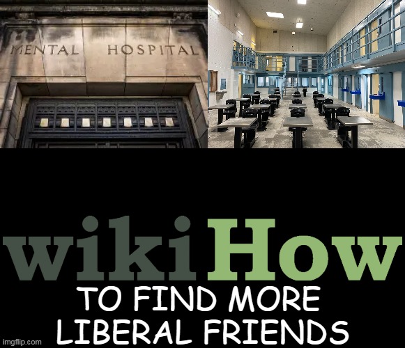 Misery Loves Company | TO FIND MORE 
LIBERAL FRIENDS | image tagged in liberals,friends,political humor,mental illness,alternate reality,wikihow | made w/ Imgflip meme maker