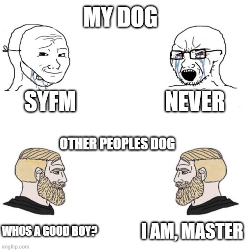 having dogs is heck for me ;-; | MY DOG; SYFM; NEVER; OTHER PEOPLES DOG; I AM, MASTER; WHOS A GOOD BOY? | image tagged in chad we know,dog,dogs,why are you reading the tags,bad dog | made w/ Imgflip meme maker