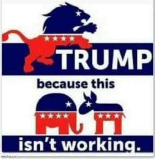 Because RINOs & Liberals are definitely not enough... | image tagged in donald trump,strength,patriotism,love of country,make america great again,blank red maga hat | made w/ Imgflip meme maker