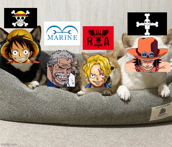 One of these things is not like the other | image tagged in one of these things is not like the other,one piece | made w/ Imgflip meme maker