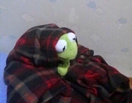 Sad frog Blank Meme Template