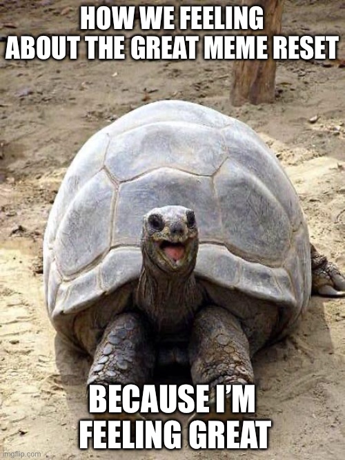 Meme reset | HOW WE FEELING ABOUT THE GREAT MEME RESET; BECAUSE I’M  FEELING GREAT | image tagged in smiling happy excited tortoise | made w/ Imgflip meme maker