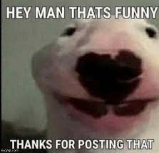 thanks for posting that | image tagged in thanks for posting that | made w/ Imgflip meme maker