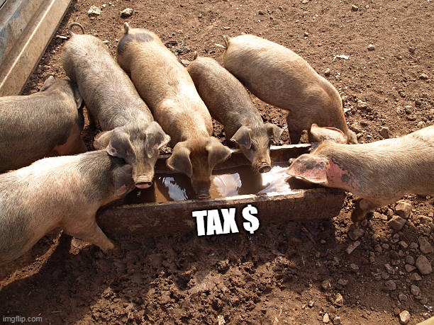 TAX $ | made w/ Imgflip meme maker