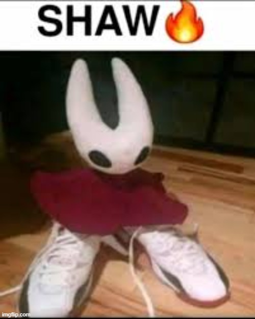 shaw meme silksong | image tagged in shaw meme silksong | made w/ Imgflip meme maker