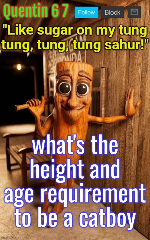 Quentin's Tung Tung Sahur template | what's the height and age requirement to be a catboy | image tagged in quentin's tung tung sahur template | made w/ Imgflip meme maker