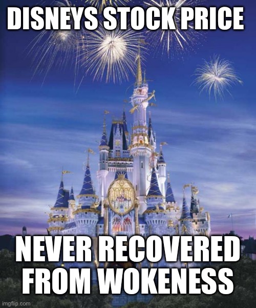But Tesla is Up | DISNEYS STOCK PRICE; NEVER RECOVERED FROM WOKENESS | image tagged in disney,tesla,stupid liberals | made w/ Imgflip meme maker