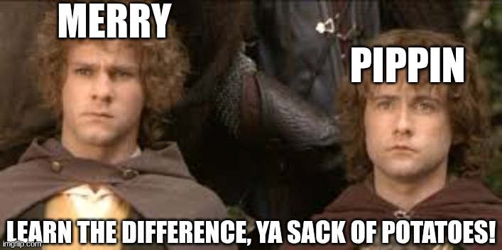 MERRY; PIPPIN; LEARN THE DIFFERENCE, YA SACK OF POTATOES! | image tagged in merry and pippin | made w/ Imgflip meme maker