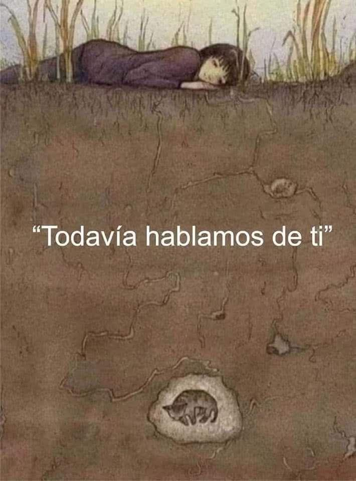 Todavía hablamos de ti Blank Meme Template