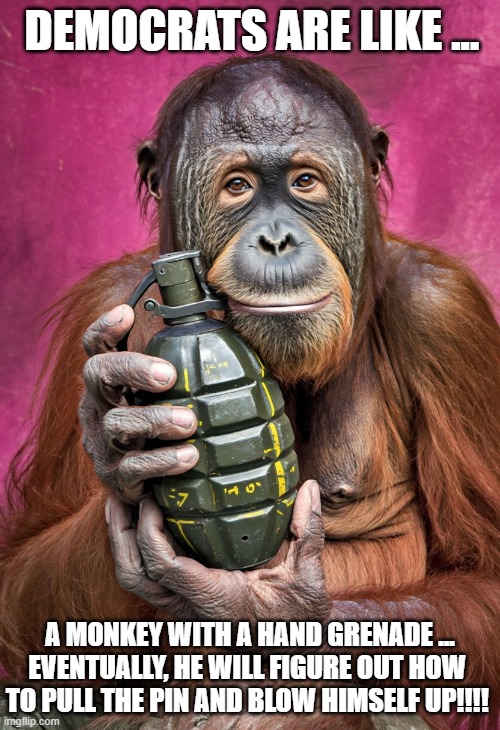 Democrats are stupid | DEMOCRATS ARE LIKE ... A MONKEY WITH A HAND GRENADE ...
EVENTUALLY, HE WILL FIGURE OUT HOW 
TO PULL THE PIN AND BLOW HIMSELF UP!!!! | made w/ Imgflip meme maker