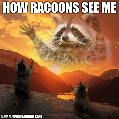 I am a living trash can | HOW RACOONS SEE ME; (I AM A LIVING GARBAGE CAN) | image tagged in racoon praise | made w/ Imgflip meme maker