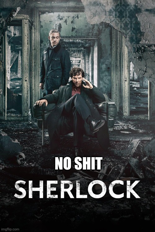 NO SHIT | made w/ Imgflip meme maker