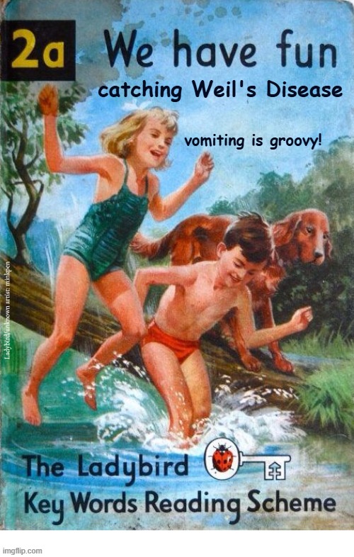 Indeed | catching Weil's Disease; vomiting is groovy! Ladybird/unknown artist: minkpen | image tagged in ladybird,weil's,river,dark humour | made w/ Imgflip meme maker