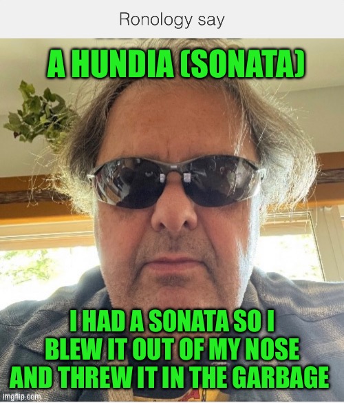 Hundyi | A HUNDIA (SONATA); I HAD A SONATA SO I BLEW IT OUT OF MY NOSE AND THREW IT IN THE GARBAGE | image tagged in funny | made w/ Imgflip meme maker